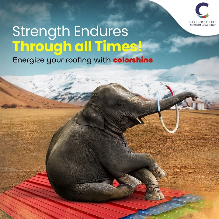 Roofing creative ad: Elephant sitting on roof sheet shows strength