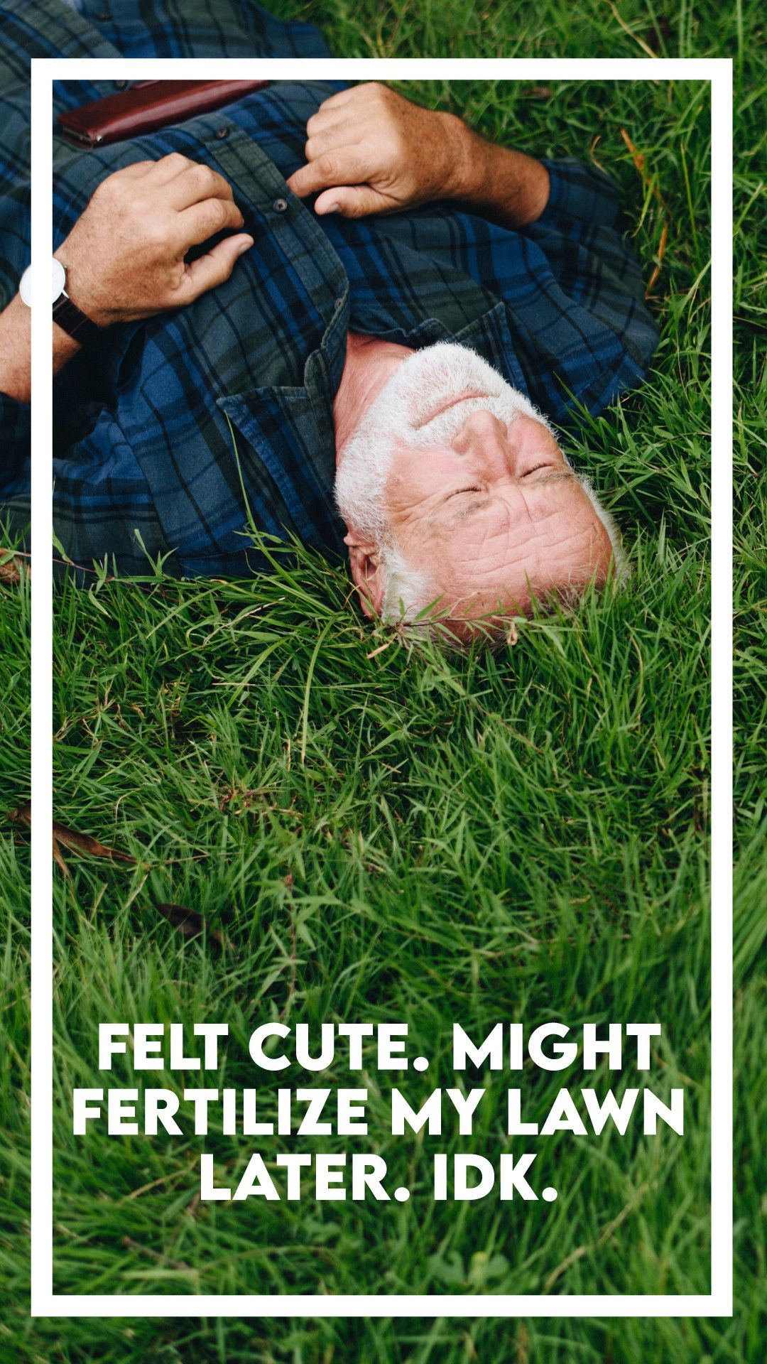 Story: Meme copy 'Felt cute, might fertilize'
