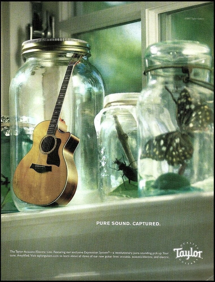 Musical Instrument Stores creative ad: Miniature acoustic guitar captured inside a glass mason jar next to insect jars