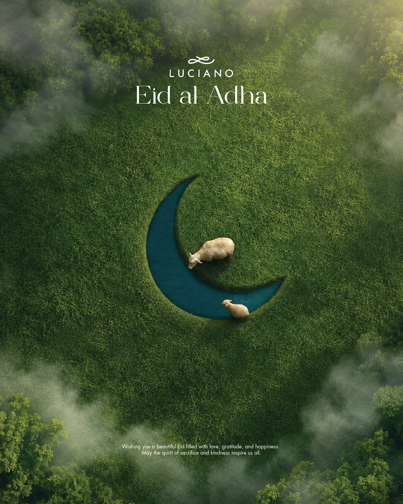 Aerial crescent-shaped pond in grass with two sheep