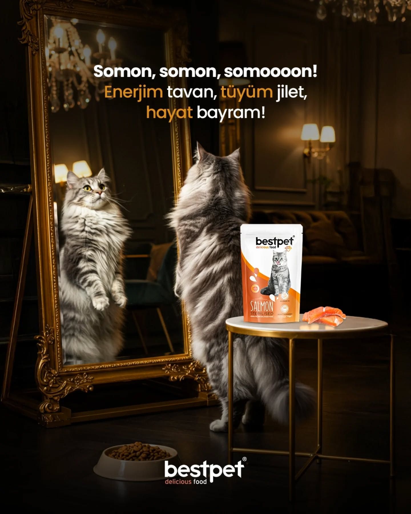 Instagram post: Fluffy cat standing and admiring its reflection in a gilded mirror beside a pet food pouch