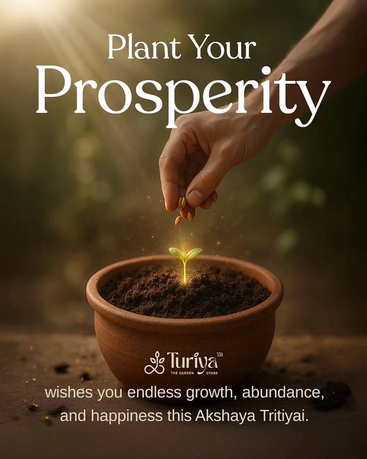 Dhanteras creative ad: A hand planting seeds above a glowing seedling in a terracotta pot