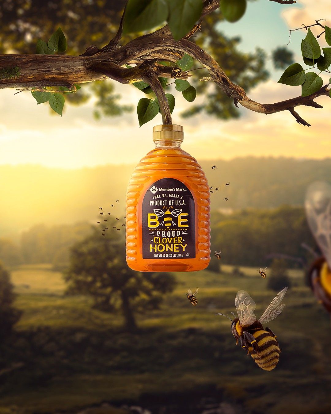 Instagram post: Honey bottle presented like tree fruit