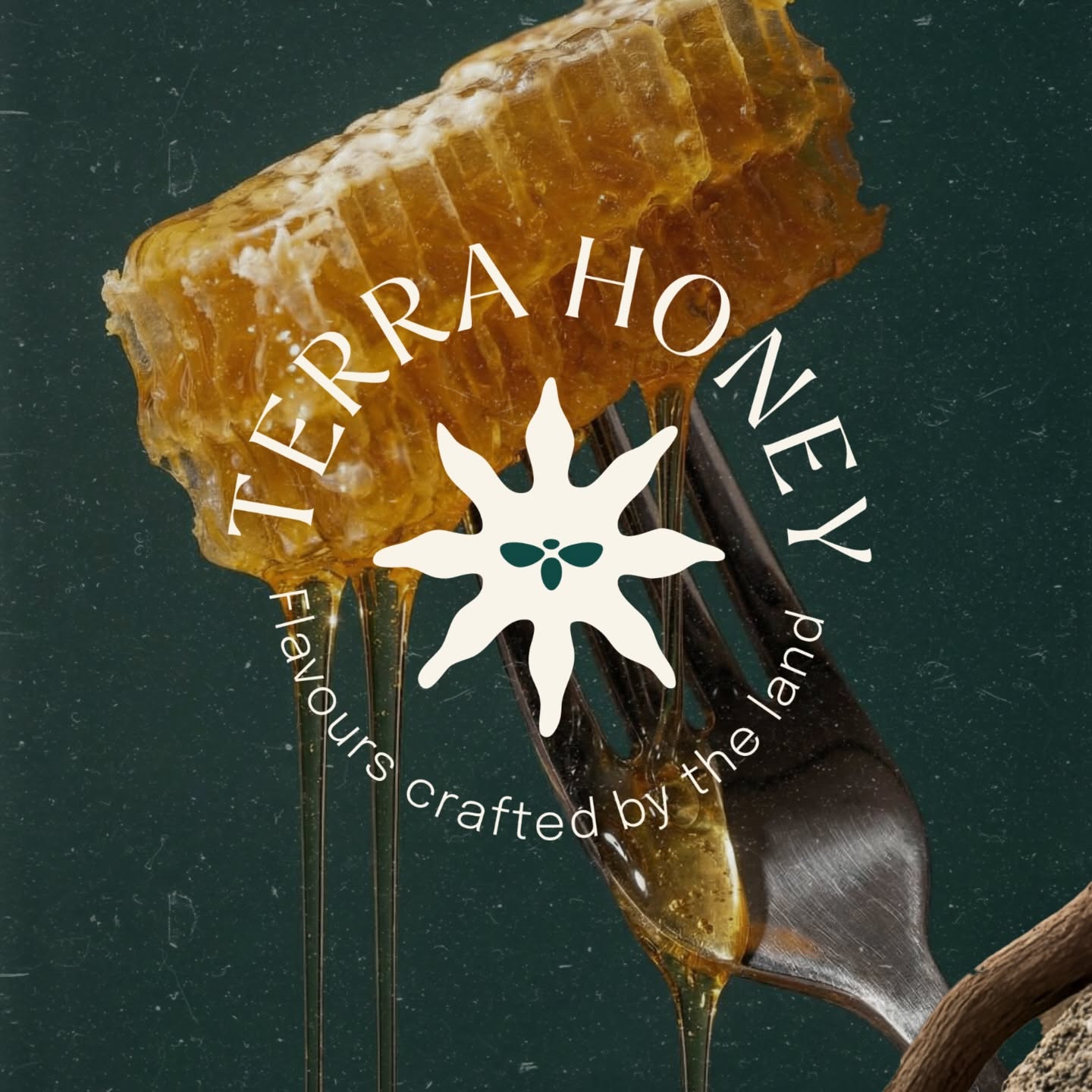 Instagram post: Honeycomb becomes a bold brand emblem, slide 1