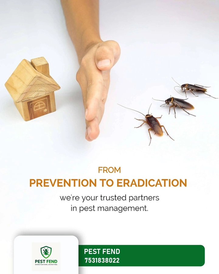 Pest Control creative ad: Hand shields house from cockroaches, clean metaphor