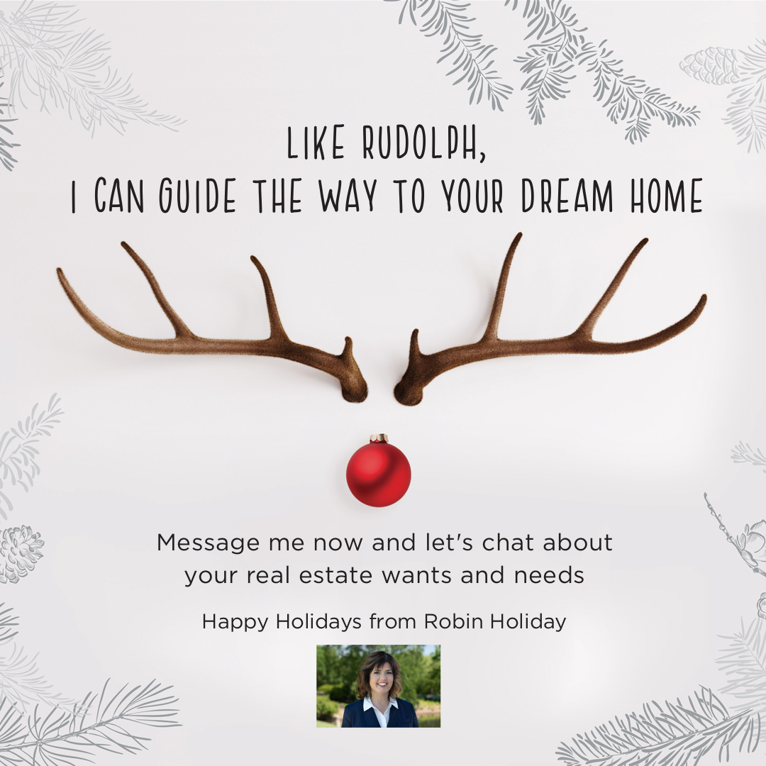 Christmas Instagram post: Velvet antlers and red bauble forming a minimalist Rudolph face