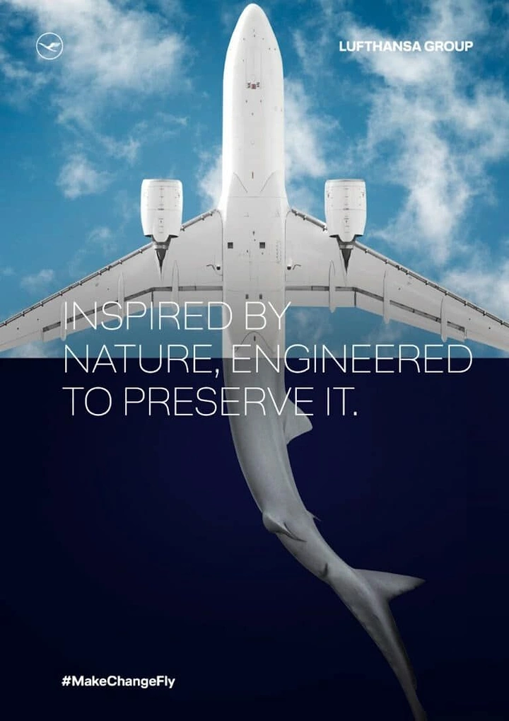 Travel creative ad: Airplane underside merging into a shark diving below a horizon split