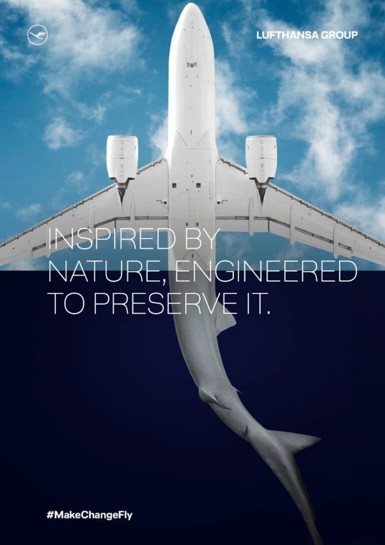 Airplane underside merging into a shark diving below a horizon split