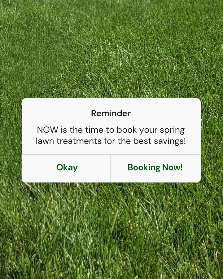 Landscaping & Gardening creative ad: Phone reminder dialog over lawn booking