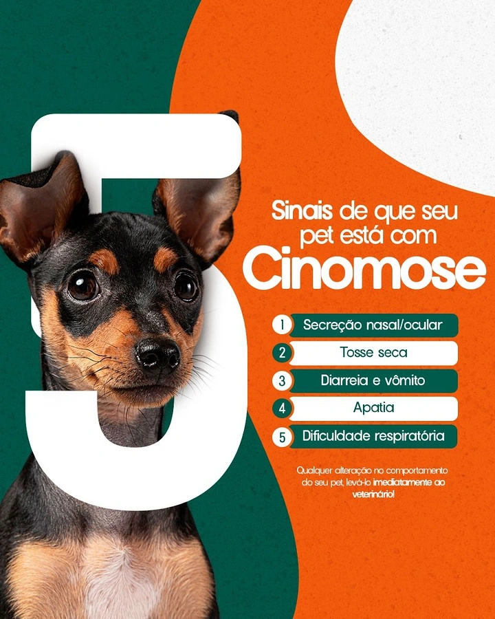 Veterinary Clinics creative ad: Miniature pinscher puppy emerging through a giant white numeral 5