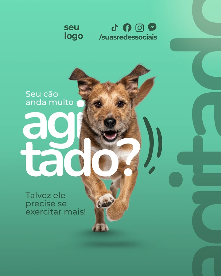 Veterinary Clinics creative ad: Scruffy brown dog running toward the camera