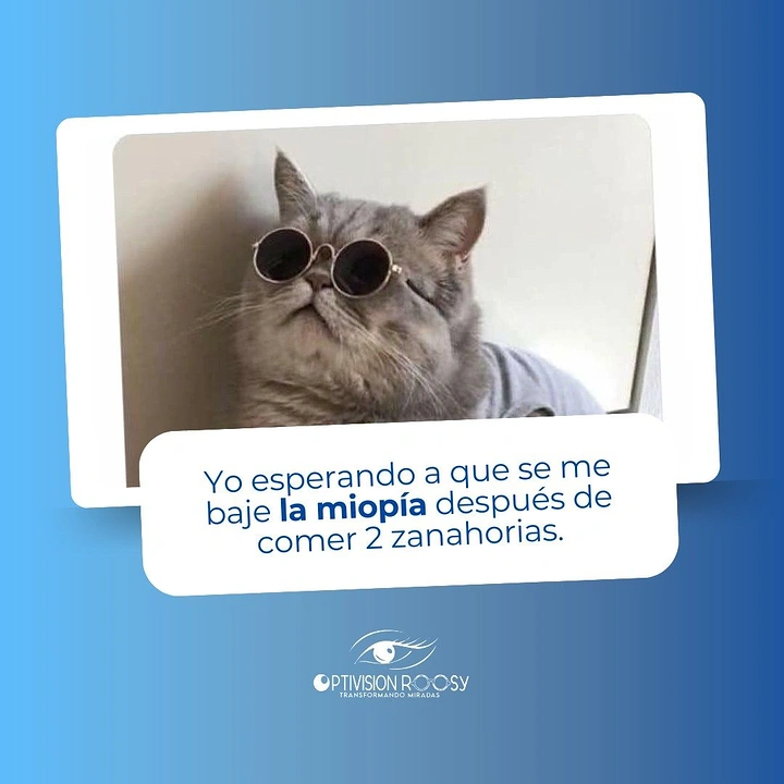 Opticians & Eye Care creative ad: Cat joke: carrots won't cure myopia