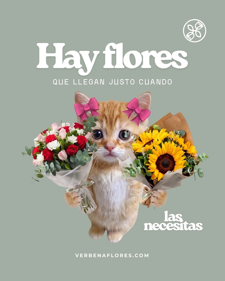 Florists creative ad: Kitten collage holding bouquets, playful copy