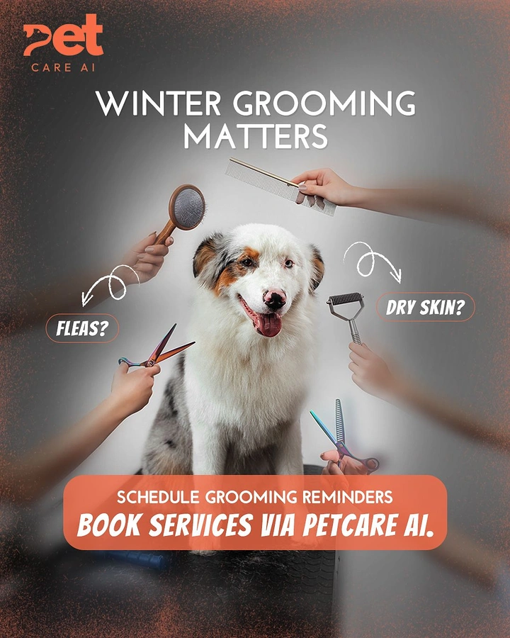 Pet Grooming creative ad: Many hands with grooming tools around dog