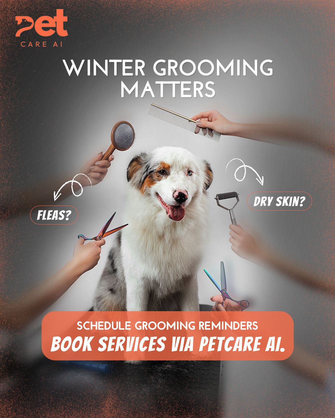 Instagram post: Many hands with grooming tools around dog