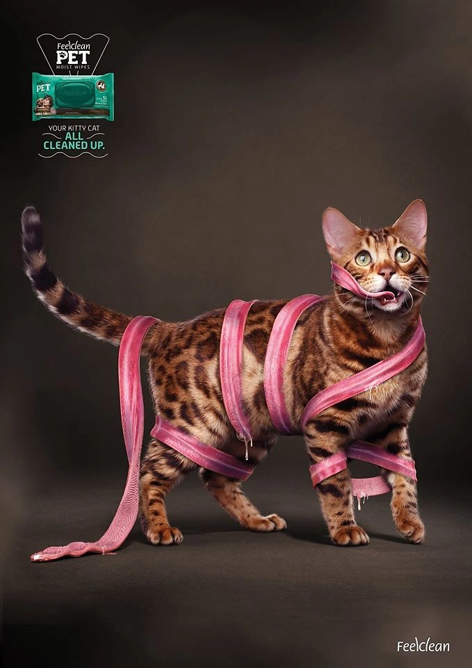 Pet Grooming creative ad: Bengal cat wrapped in its own extremely long pink tongue