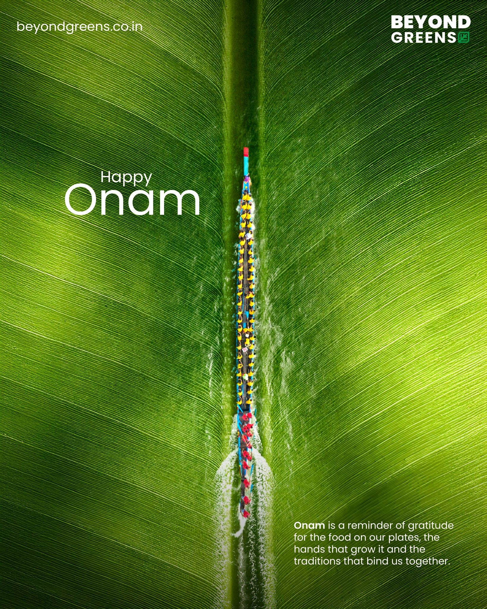 Snake boat race seen from above, set along the midrib of a banana leaf
