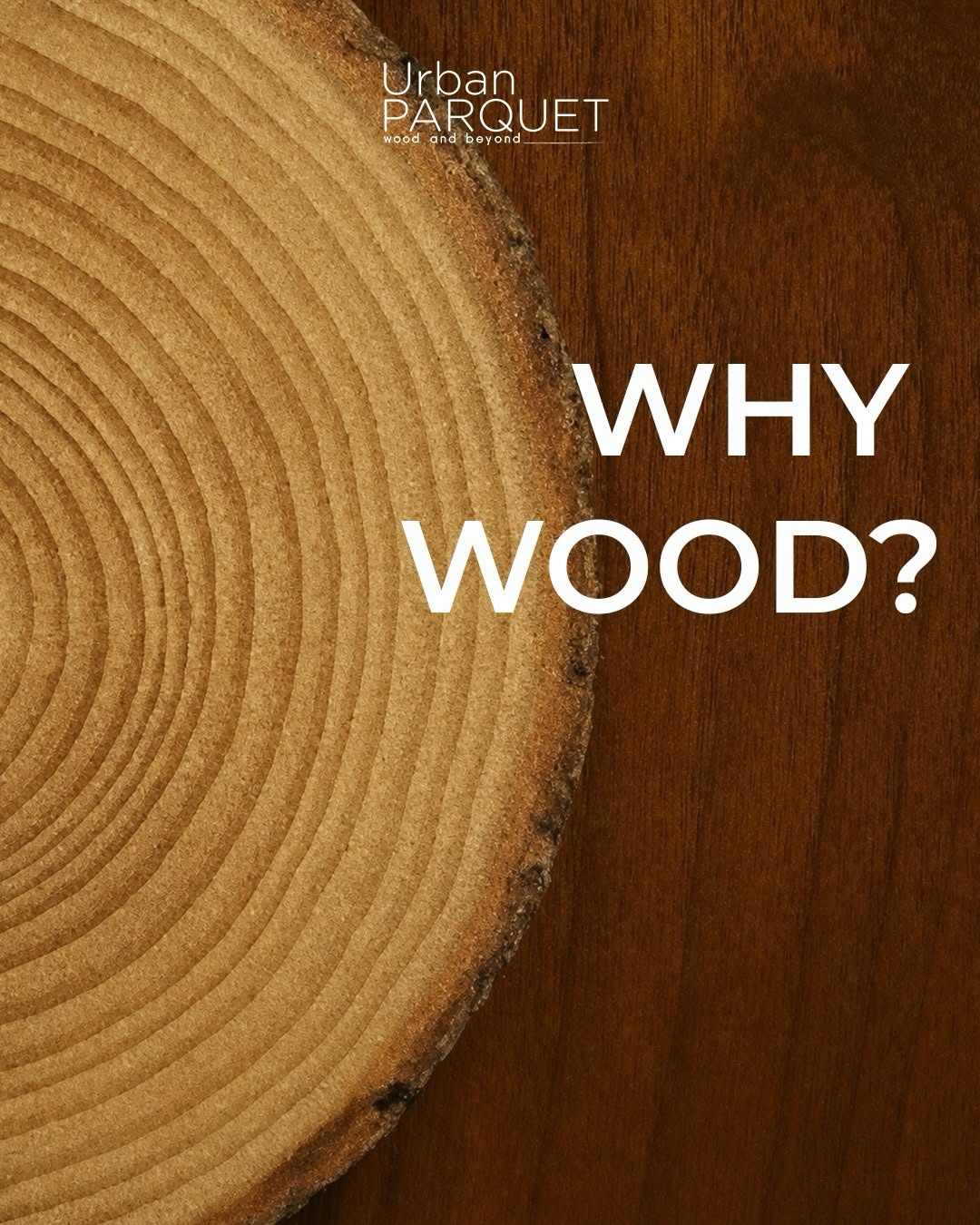 Instagram post: Wood cross-section answers why wood, slide 1