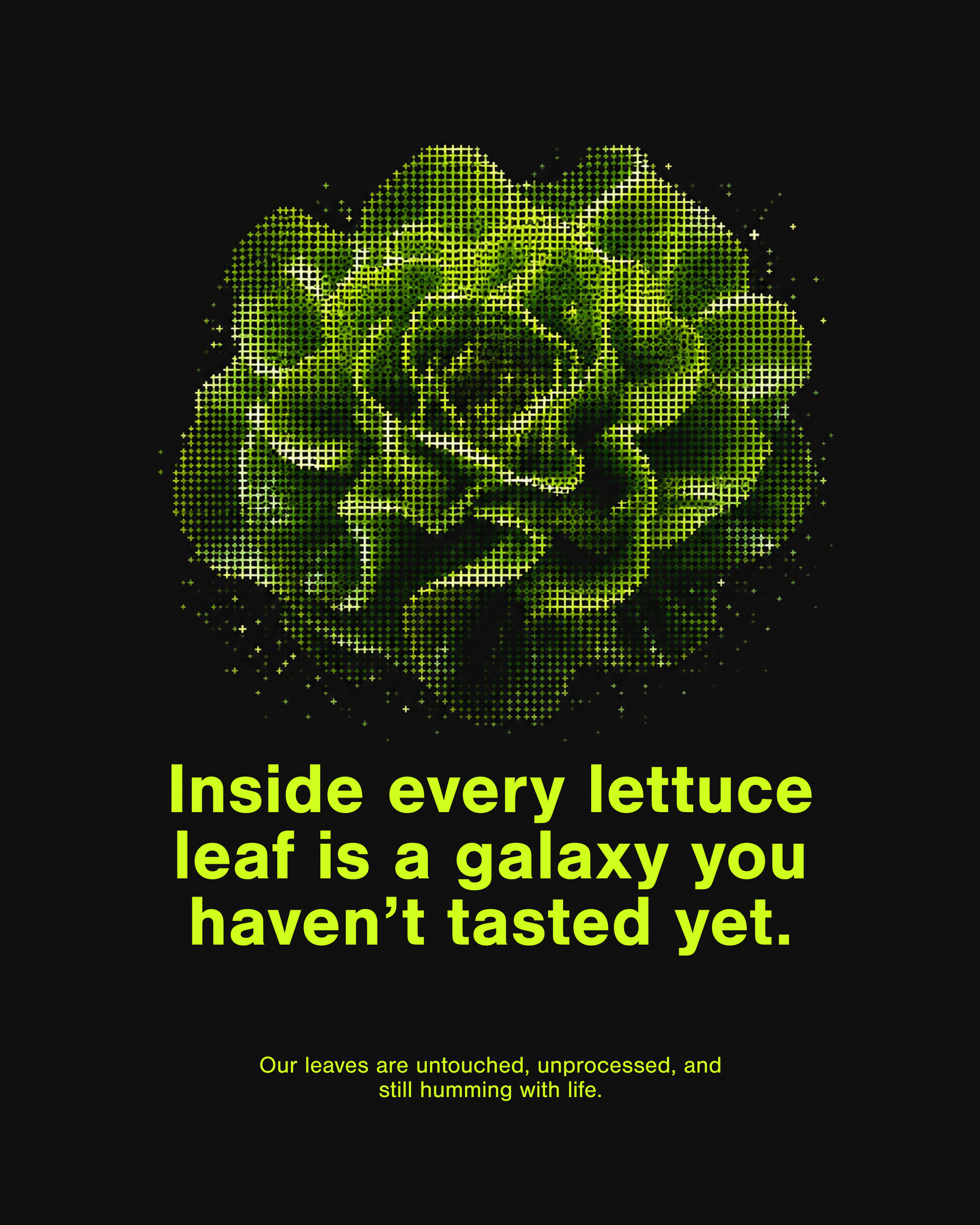 Instagram post: Lettuce becomes a galaxy metaphor