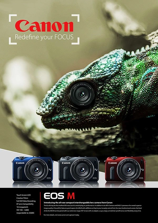 Cameras & Camera Stores creative ad: Chameleon eye camera lens metaphor