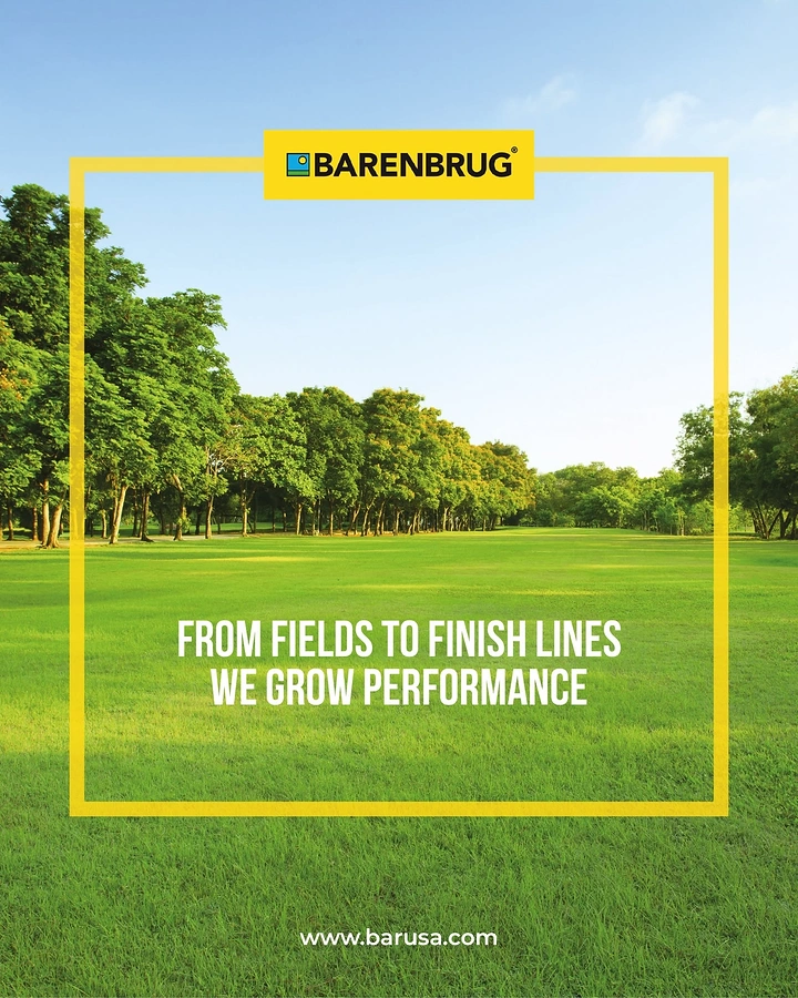 Landscaping & Gardening creative ad: Yellow frame turns lawn into sports field