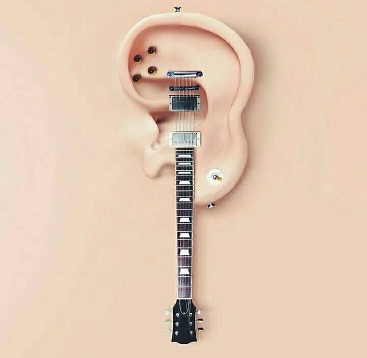 Musical Instrument Stores creative ad: Human ear sculpted into the body of an electric guitar
