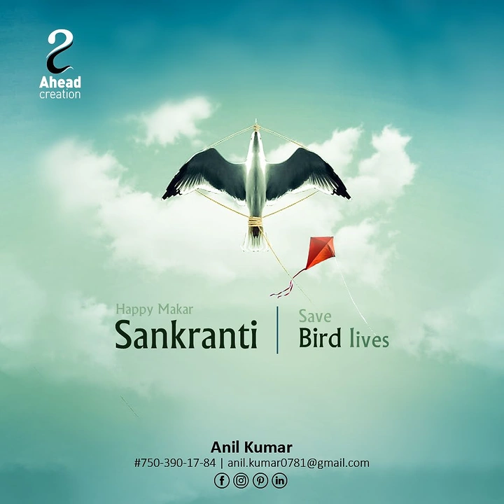 Makar Sankranti creative ad: Seagull tied to a kite frame beside a red kite