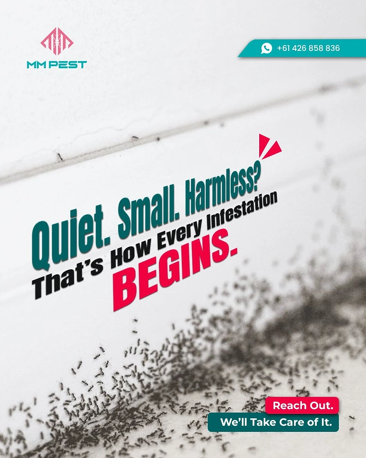 Pest Control creative ad: Ant trail with 'small, harmless?' copy