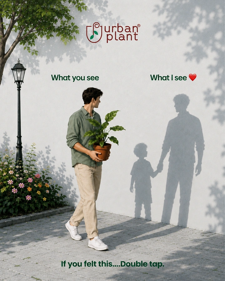 Plant Shops & Nurseries creative ad: Shadows turn plant ownership into aspiration