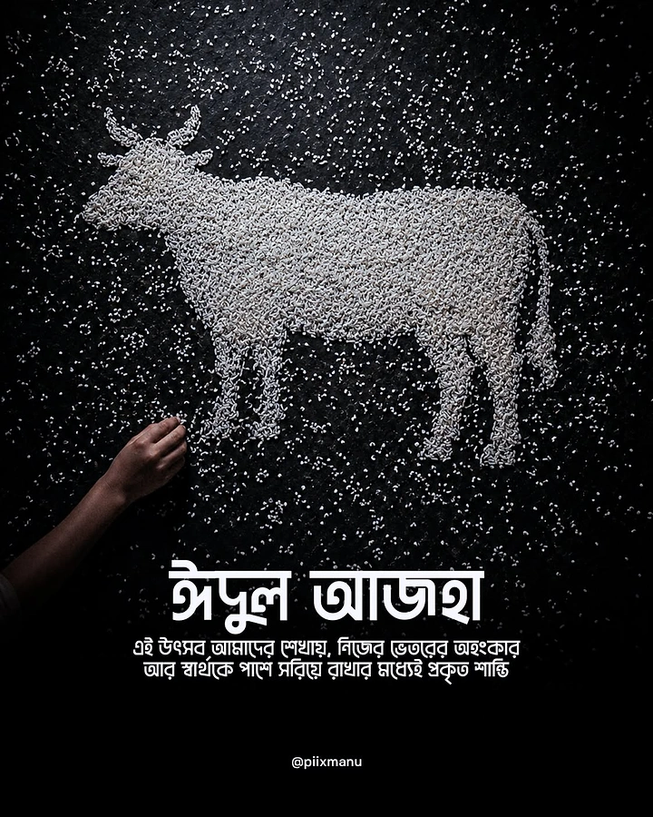 Eid creative ad: Cow silhouette formed from rice grains on black, with a hand arranging it