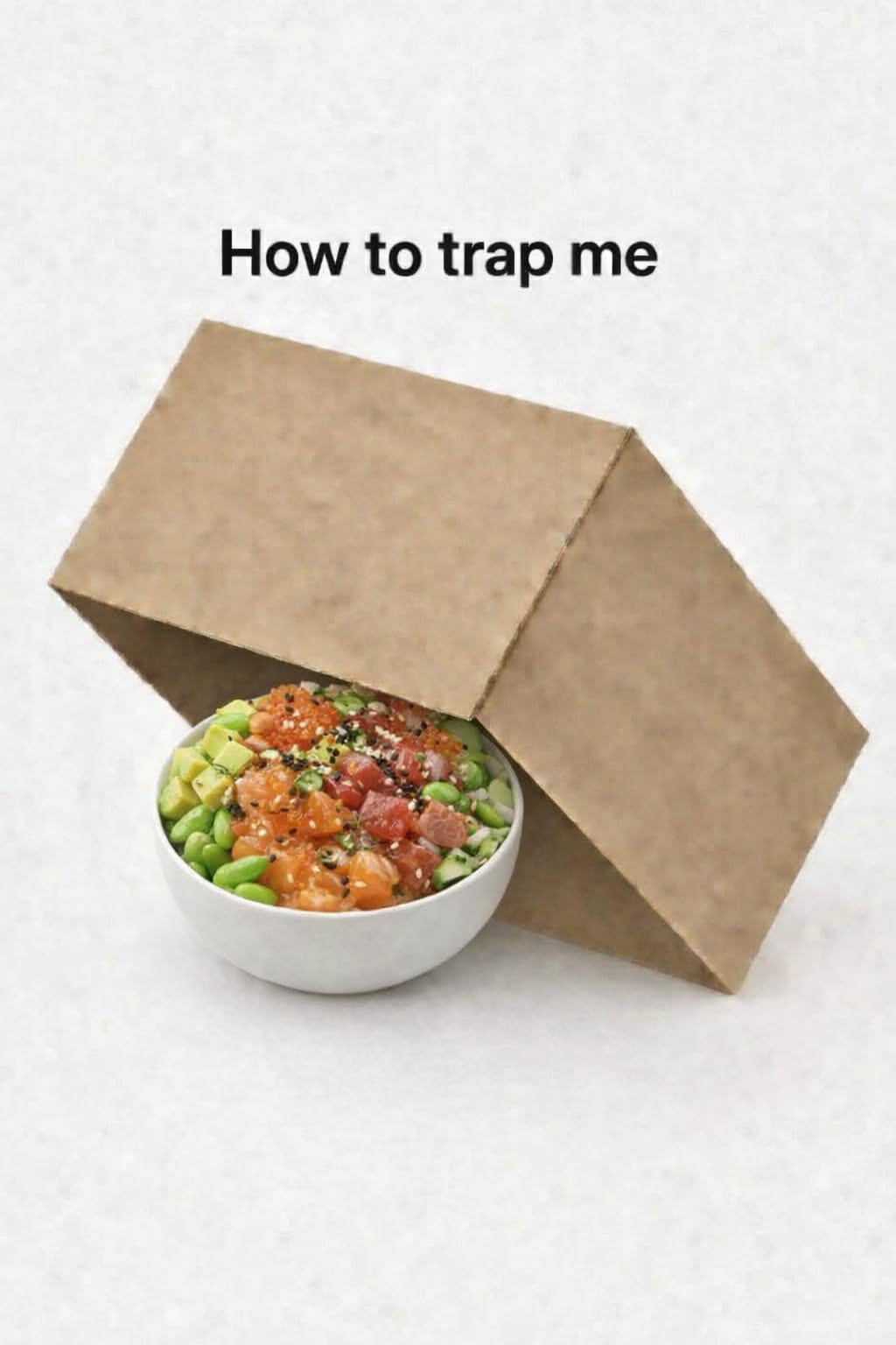 Story: Witty cardboard-trap bowl visual metaphor