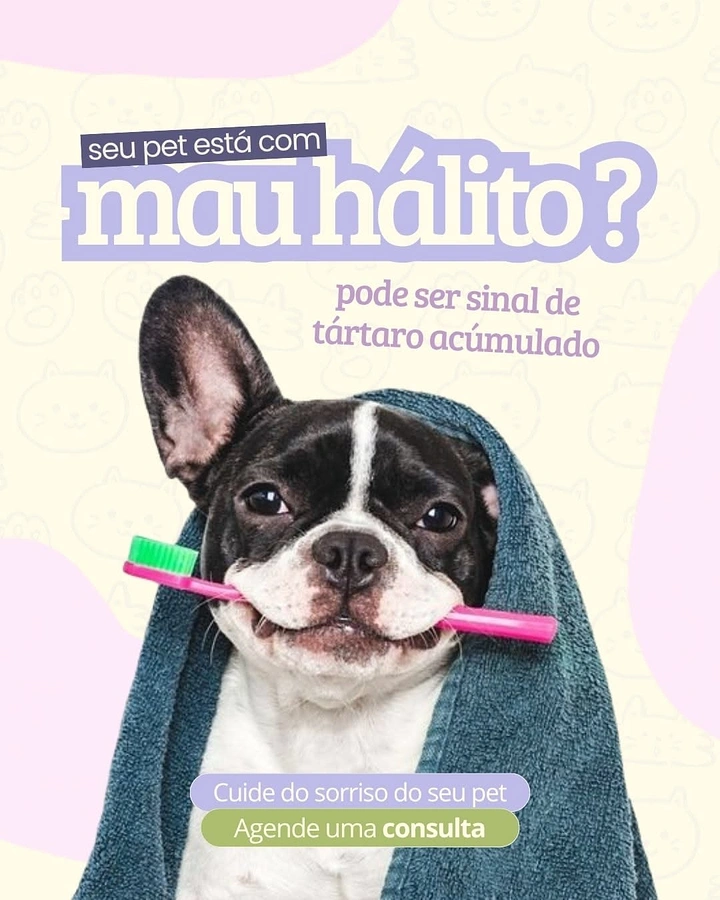 Veterinary Clinics creative ad: French bulldog in towel holding pink toothbrush in mouth