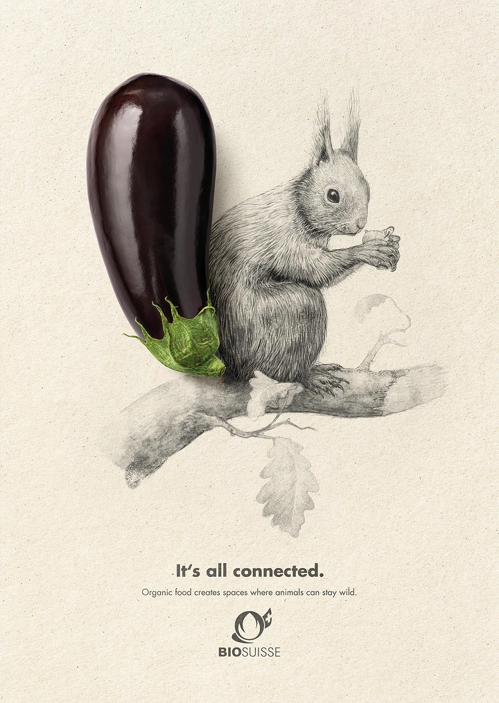 Agriculture, Seeds & Fertilizers creative ad: Pencil-drawn squirrel whose tail is a real photographed aubergine