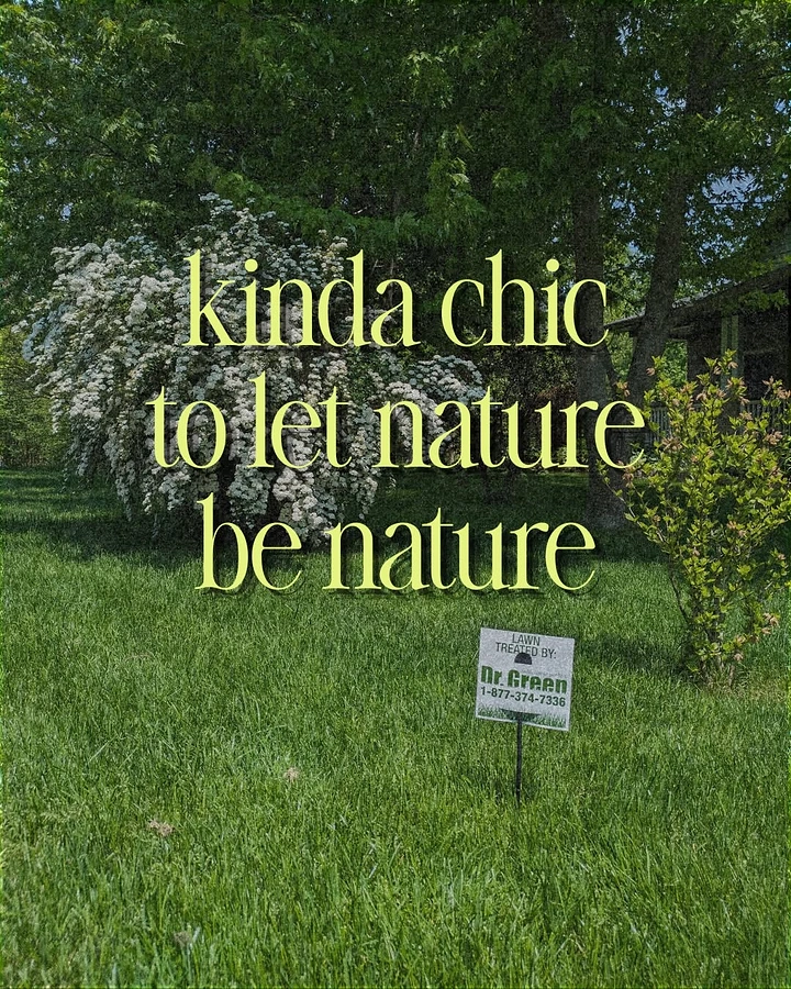 Landscaping & Gardening creative ad: Ironic 'let nature be nature' lawn copy
