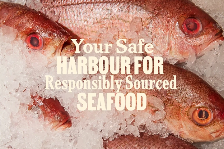 Seafood Restaurants creative ad: Safe harbour copy creates fish metaphor