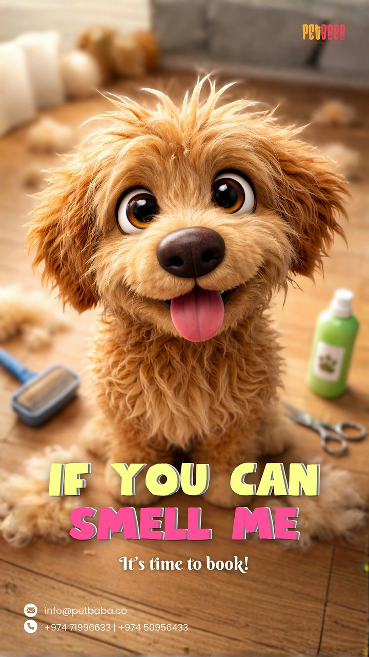 Pet Grooming creative ad: Witty 'If you can smell me' 3D pup