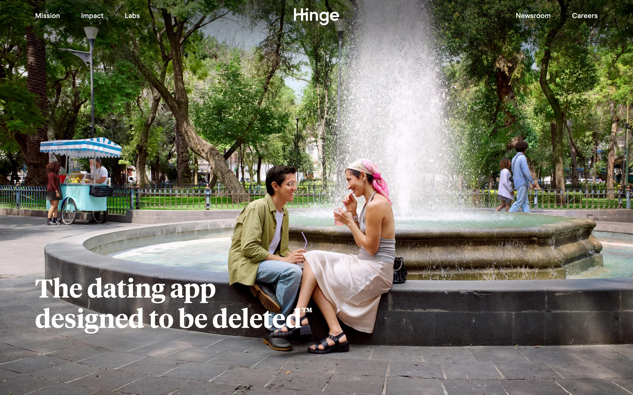 Hinge website color scheme