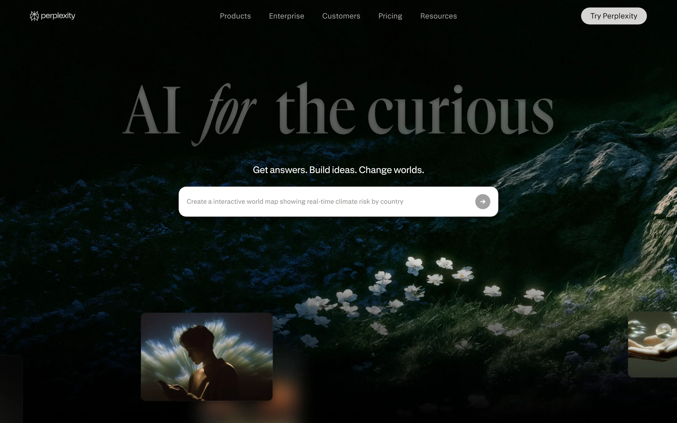 Perplexity website color scheme