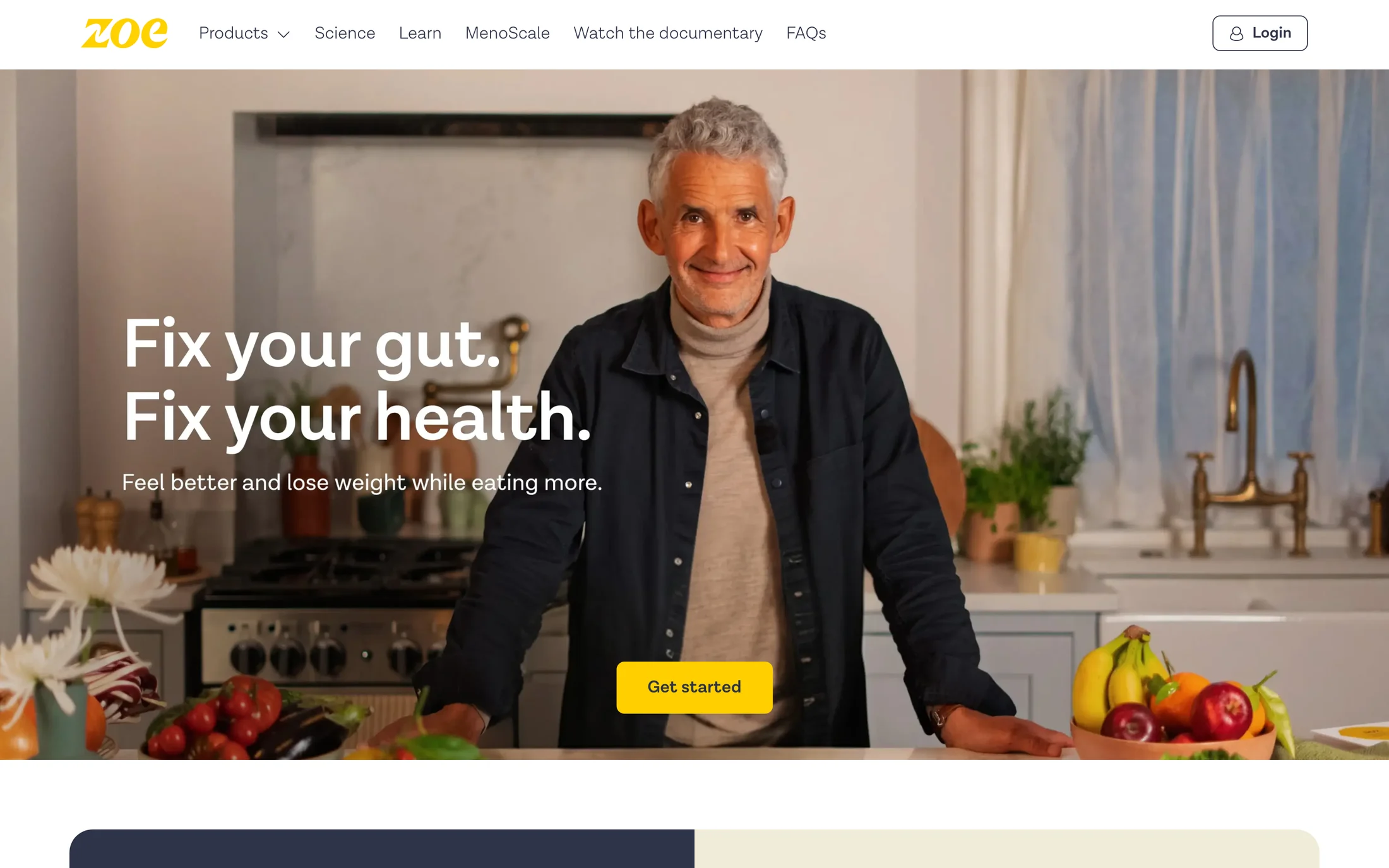 Zoe website color scheme